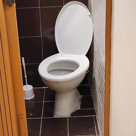 Alex Hostel